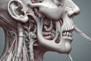 Blood Supply to the Nasal Cavity