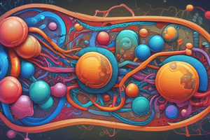 Electron Transport Chain and Oxidative Phosphorylation