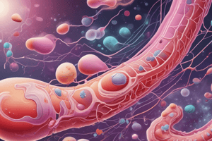 Treatment of Nephroliths and Ureteroliths