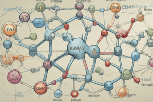 S13 - Urea Cycle: Amino Acid Catabolism in Mammals