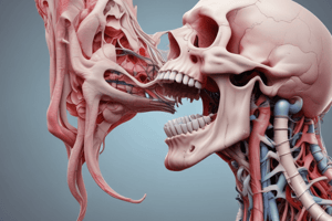 Anatomy of the Larynx Quiz