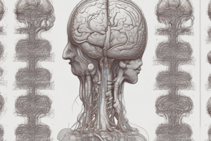 Stroke and Transient Ischemic Attack