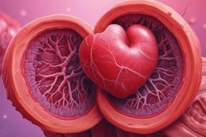 Coronary Artery Disease and Arteriosclerosis Quiz