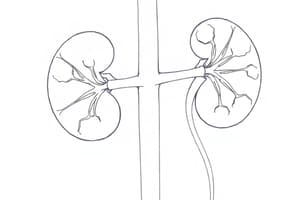 Sistema Renina-Angiotensina: Funzioni e Meccanismi (Fisiologia 31)