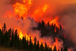 2023 Canadian Wildfires: Zombie Fires Overview