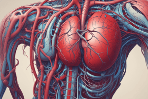 Blood Flow and Circulation