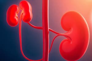 Renal Function and Failure Overview