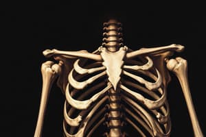 Osteology: Bone Structure Overview