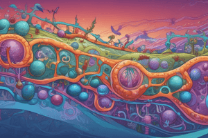 Transport Systems in Cell Membranes