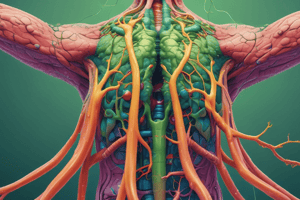 Lymphatic System and Immune Response Quiz