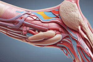 Tendon Pathologies: Transverse Friction Massage