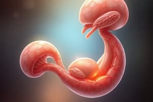 Foregut Development Quiz