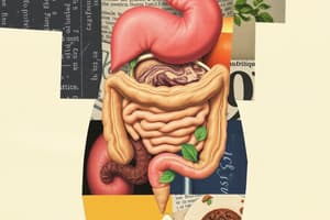 El Cuerpo Humano y Su Digestión