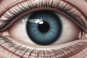 Corneal Problems and Clinical Signs