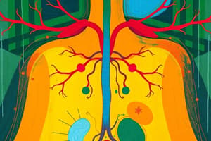 Endocrine System Function Quiz