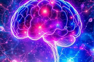 Neuroscienze e Scoperte di Helmholtz e Broca