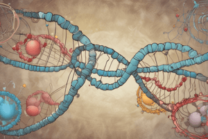 DNA and RNA Structure and Function