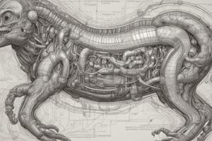 Biología: Sistema Motor