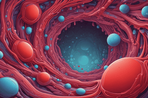 Erythrocytes: Biconcave Structure and Functions