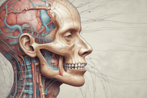 Neurology: Cranial Nerves Introduction