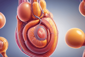 Urinary System Function and Disorders Quiz