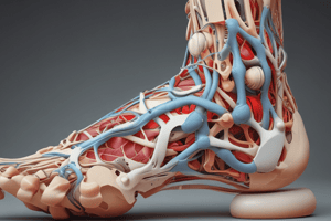 Complications in Midfoot Charcot Reconstructions