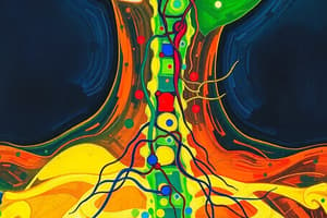 Stanbridge - T6 - Neuro2 - W1 - Spinal Cord Injury and Myelomeningocele