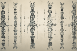 Understanding Karyotypes and Chromosomal Disorders