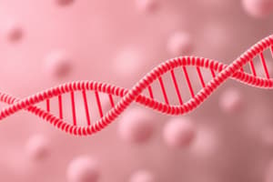 Biology Chapter on Transcription and RNA Types