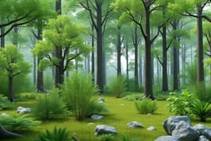 Forest Pack: Grass and Leaves