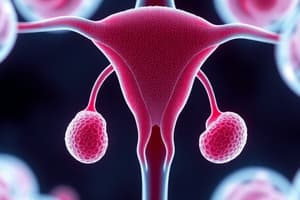 The Reproductive System Quiz