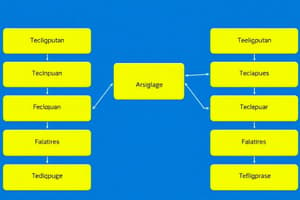 Model entitet-veza (ERD)