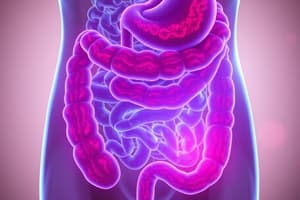 CSD | Gastrointestinal Disorders Quiz