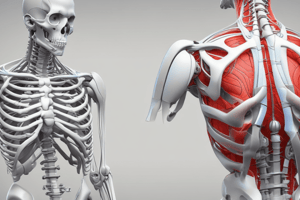 Shoulder ROM Normal Values (AAOS)