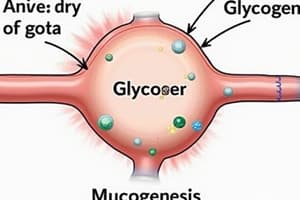 Glycogen Metabolism: Synthesis and Degradation