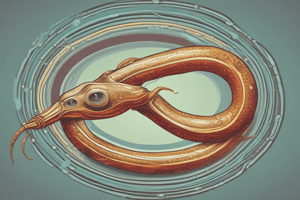 Ciclo biológico del Schistosoma mansoni