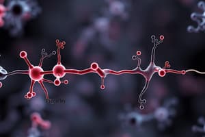 L6 Receptors as drug targets 3