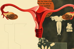 Female Reproductive Endocrinology Overview