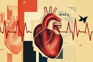 Circulatory System: Blood Flow and Heartbeat