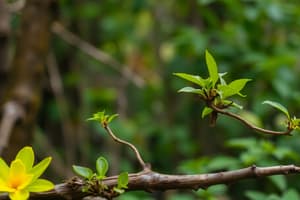 Biodiversity and Its Importance in India