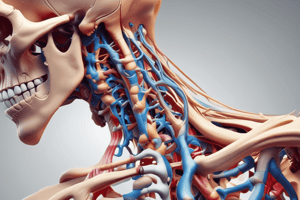 Structure and Functions of the Human Spine