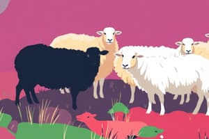 Sheep Farming Quiz