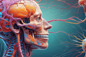 BMS2046 Disorders of the Central Nervous System (CNS) Part 1 Quiz