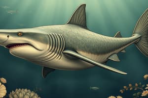 Chondrichthyes Overview Quiz