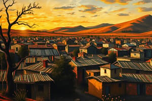 Apartheid Townships and Bantustans