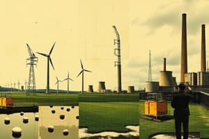 Environmental Management and Energy Use