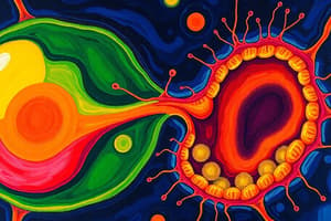 Cell Structure and Function Quiz