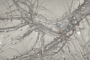 Action Potential and Nervous System Function