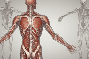 Understanding Body Systems