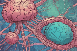 Neuromuscular Blocking Agents: Structure-Activity Relationships